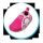 Freds Aqua Schuhe in pink gr. 25 hoher Tragekomfort Innenschuhl&auml;nge 156 mm