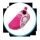 Freds Aqua Schuhe in pink gr. 29  hoher Tragekomfort Innenschuhl&auml;nge 184  mm