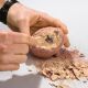 Moses 40127 Dino Out of the Egg – Archaeological Dig Set for Little Explorers