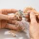 Moses 40127 Dino Out of the Egg – Archaeological Dig Set for Little Explorers