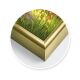 Schipper Aluminiumrahmen Gold 40 x 50 cm –...